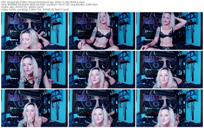 streamate-missquincam-11-08-2025-19-40-10