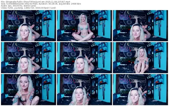 streamate-missquincam-11-08-2025-22-53-07