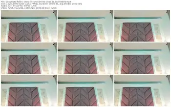 streamate-scarletshinee-11-08-2025-00-58-06