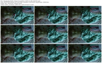 streamate-vixenminx-11-08-2025-13-20-26