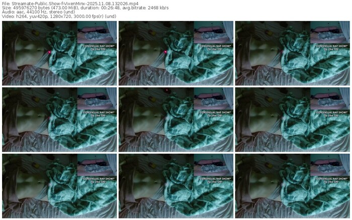 streamate-vixenminx-11-08-2025-13-20-26