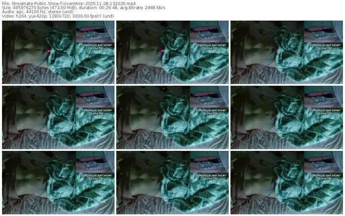 streamate-vixenminx-11-08-2025-13-20-26