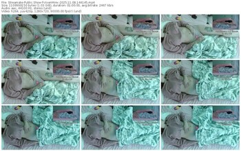 streamate-vixenminx-11-08-2025-14-41-45