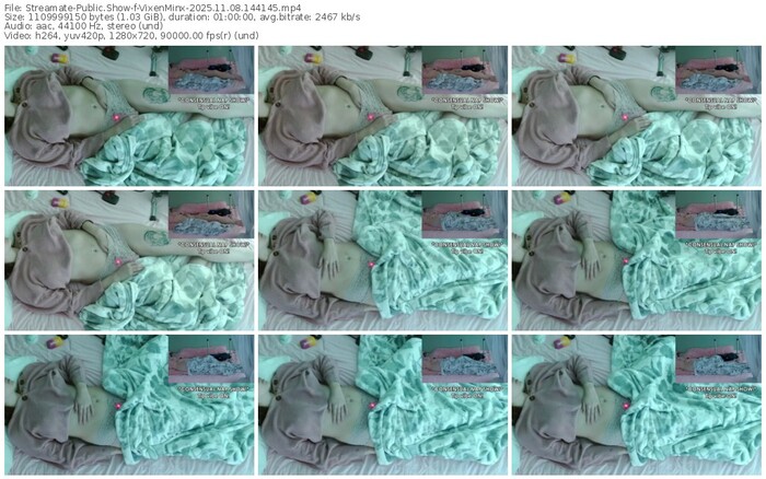 streamate-vixenminx-11-08-2025-14-41-45
