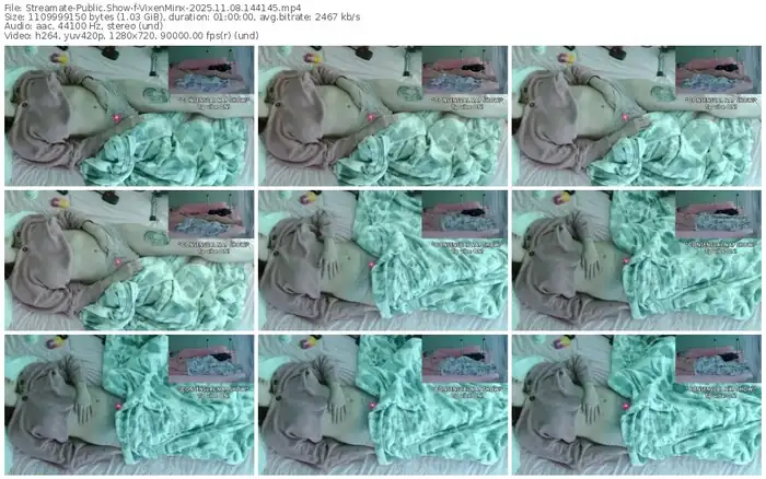 streamate-vixenminx-11-08-2025-14-41-45