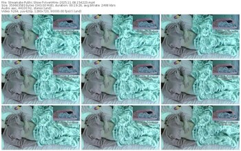 streamate-vixenminx-11-08-2025-15-42-23