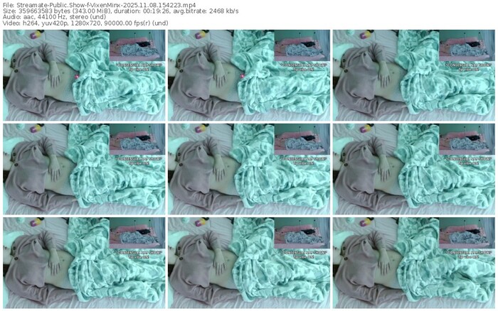 streamate-vixenminx-11-08-2025-15-42-23