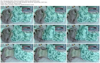 streamate-vixenminx-11-08-2025-16-04-52