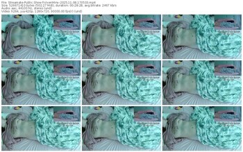 streamate-vixenminx-11-08-2025-17-05-33