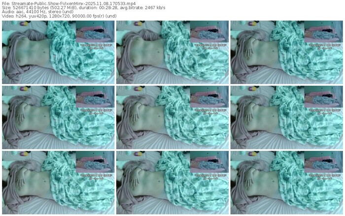 streamate-vixenminx-11-08-2025-17-05-33