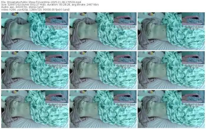 streamate-vixenminx-11-08-2025-17-05-33