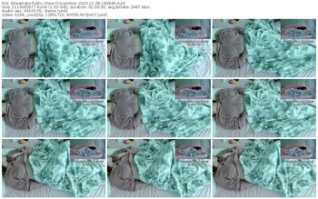 streamate-vixenminx-11-08-2025-18-38-48