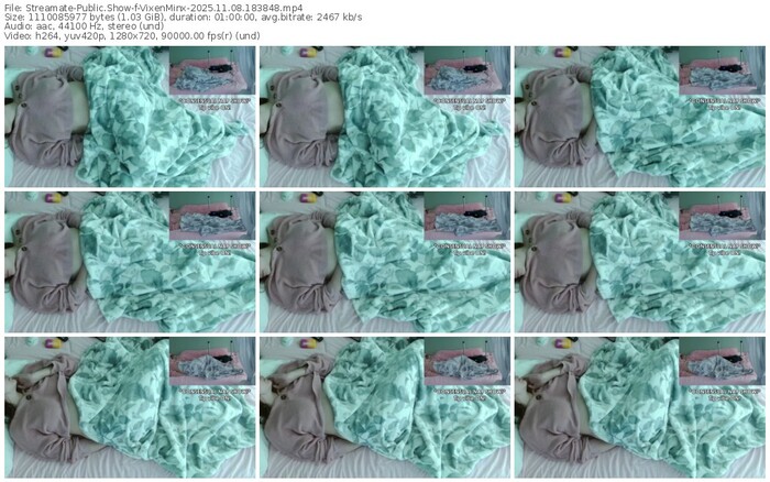 streamate-vixenminx-11-08-2025-18-38-48
