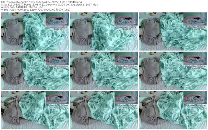 streamate-vixenminx-11-08-2025-18-38-48