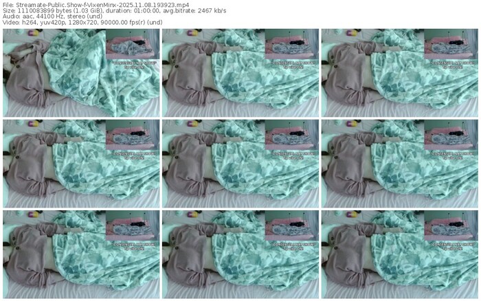 streamate-vixenminx-11-08-2025-19-39-23