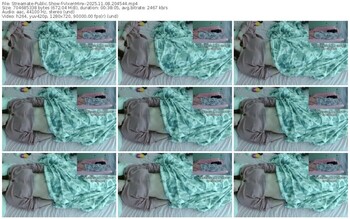 streamate-vixenminx-11-08-2025-20-45-44