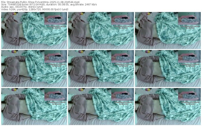 streamate-vixenminx-11-08-2025-20-45-44