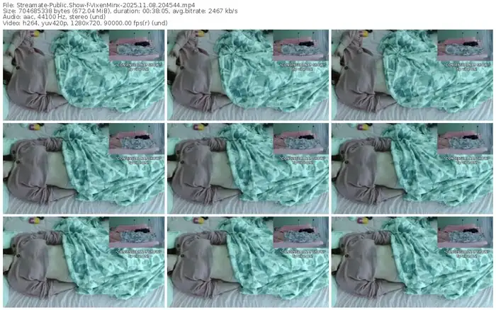 streamate-vixenminx-11-08-2025-20-45-44