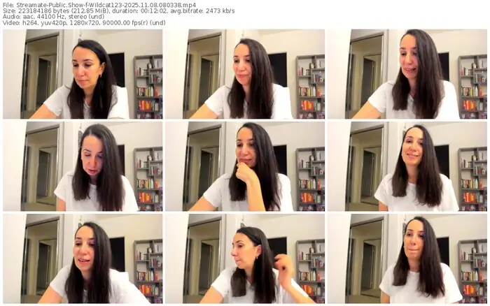 streamate-wildcat123-11-08-2025-08-03-38