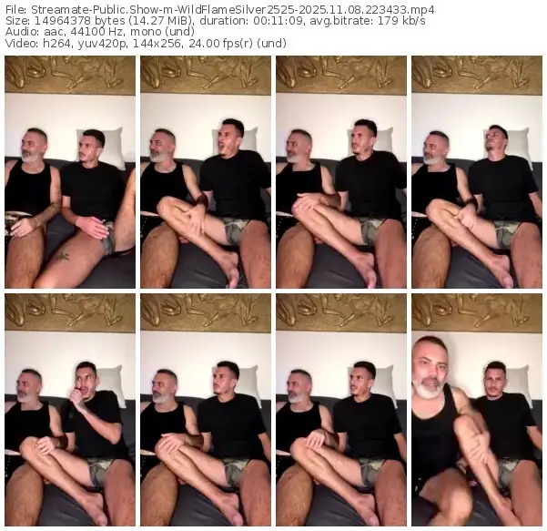 streamate-wildflamesilver2525-11-08-2025-22-34-33