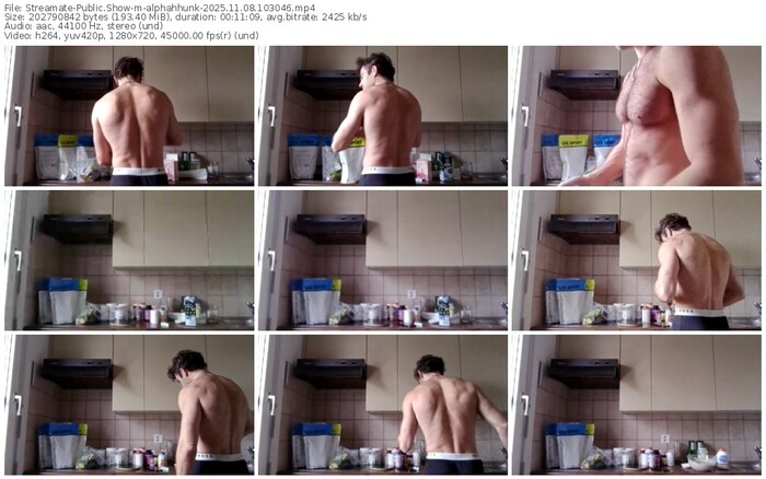 streamate-alphahhunk-11-08-2025-10-30-46