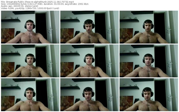 streamate-alphahhunk-11-08-2025-17-07-32
