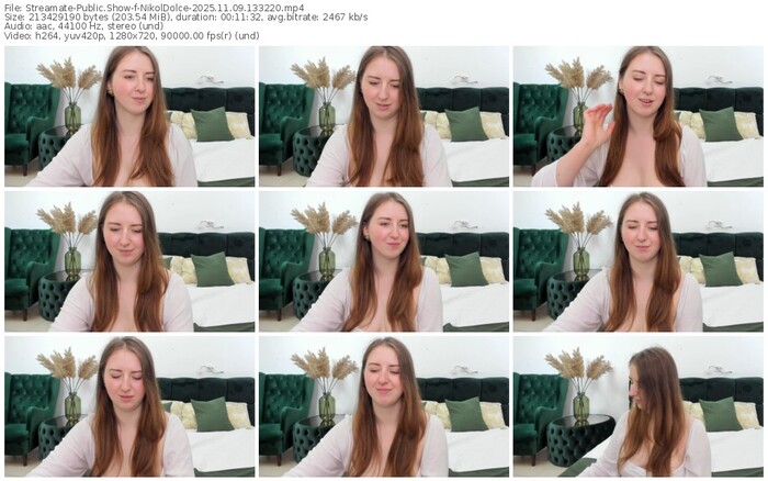 streamate-nikoldolce-11-09-2025-13-32-20