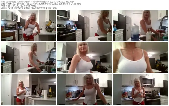 streamate-ticklemypink6969-11-09-2025-22-18-53