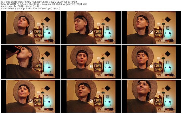 streamate-wheezycheese-11-09-2025-00-58-54