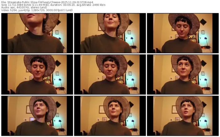 streamate-wheezycheese-11-09-2025-01-37-28