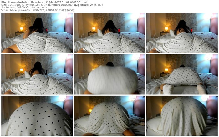 streamate-camii2244-11-09-2025-00-21-57