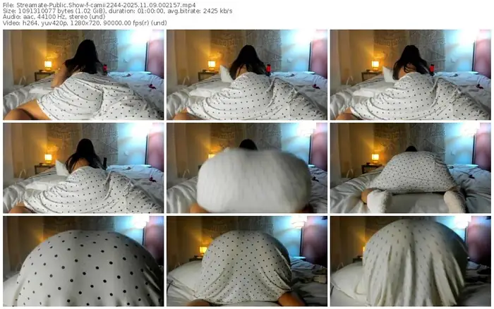 streamate-camii2244-11-09-2025-00-21-57