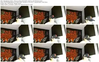 streamate-fin_gains355-11-09-2025-06-13-54