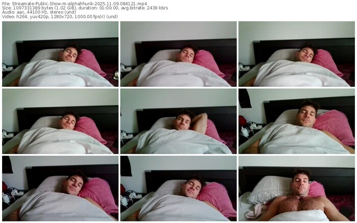 streamate-alphahhunk-11-09-2025-08-41-21