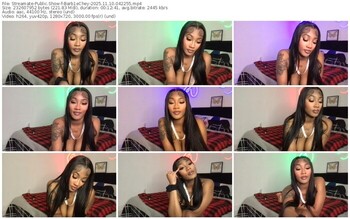 streamate-barb1echey-11-10-2025-04-22-55