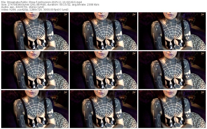 streamate-joidivision-11-10-2025-02-16-10