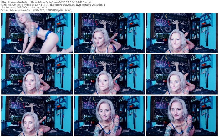 streamate-missquincam-11-10-2025-13-14-36