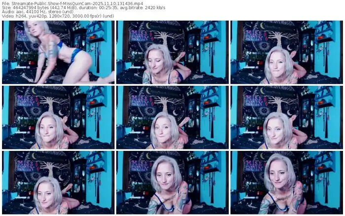 streamate-missquincam-11-10-2025-13-14-36