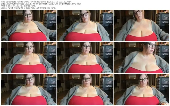 streamate-winkingdaisys-11-10-2025-10-31-02