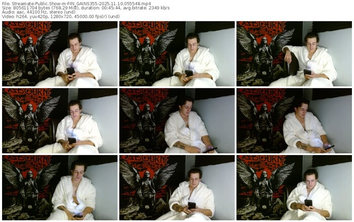 streamate-fin_gains355-11-10-2025-05-55-48