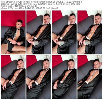 streamate-wildflamesilver2525-11-10-2025-13-35-48