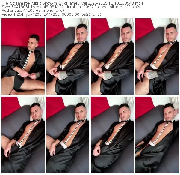 streamate-wildflamesilver2525-11-10-2025-13-35-48