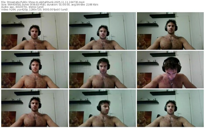 streamate-alphahhunk-11-11-2025-16-47-30