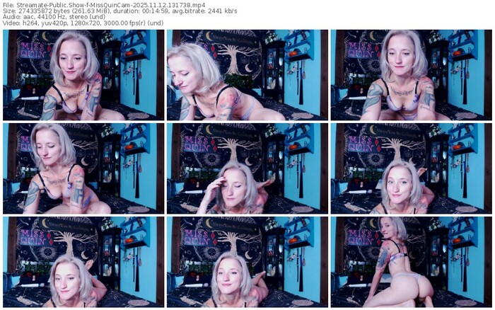 streamate-missquincam-11-12-2025-13-17-38