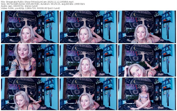 streamate-missquincam-11-12-2025-19-58-56