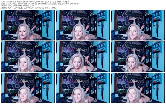 streamate-missquincam-11-12-2025-23-56-39