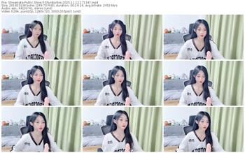 streamate-shynbarbie-11-12-2025-17-13-47