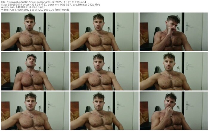 streamate-alphahhunk-11-12-2025-19-17-29