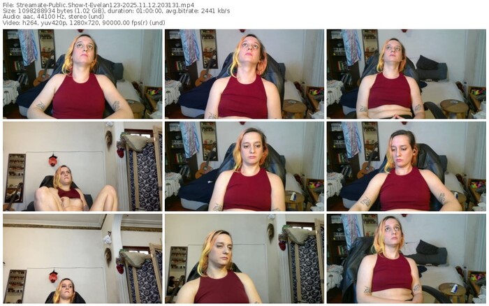 streamate-evelan123-11-12-2025-20-31-31