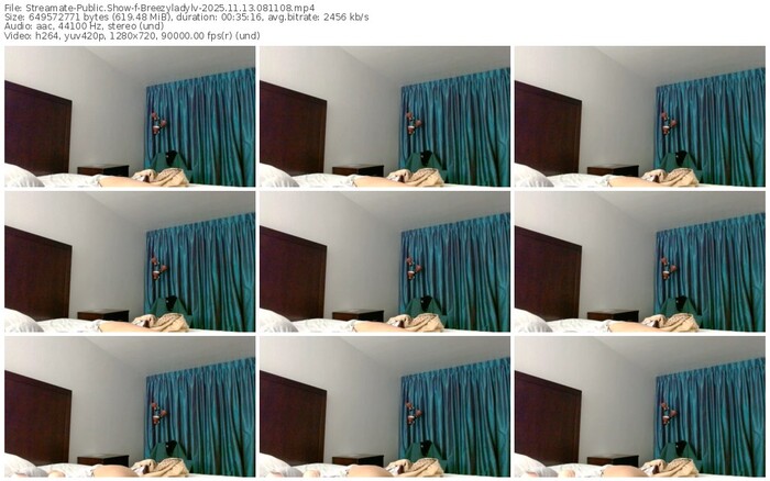 streamate-breezyladylv-11-13-2025-08-11-08